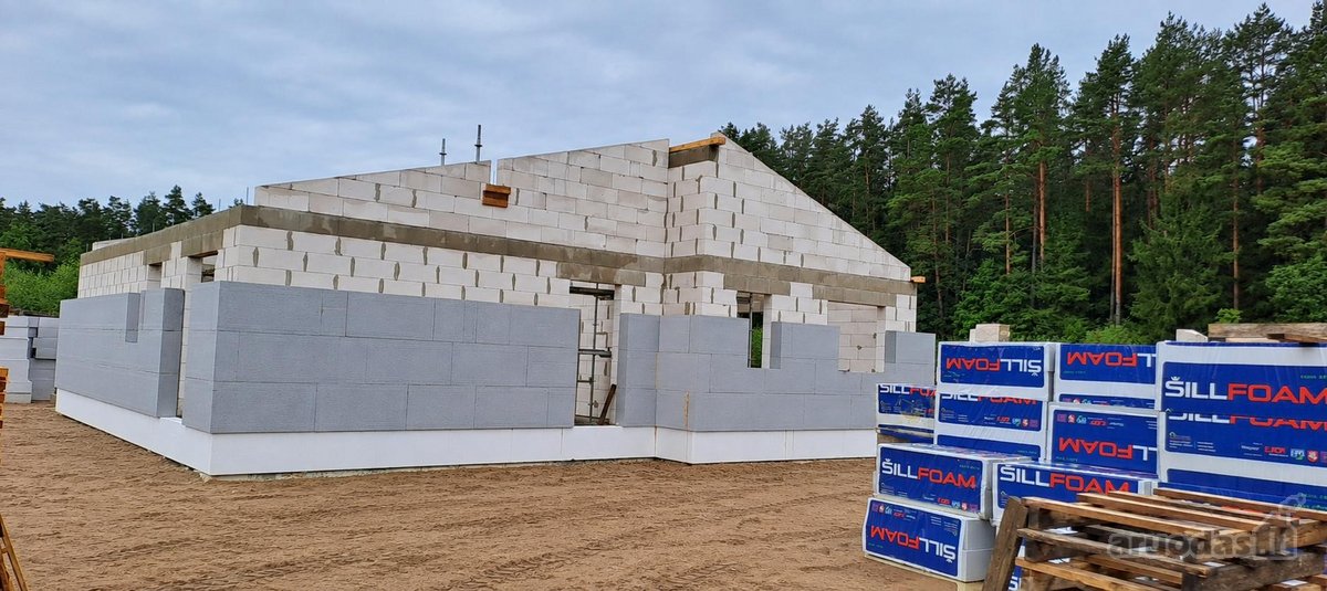 Miško apsuptyje, naujai besiformuojančiame - nuotraukos Nr. 11