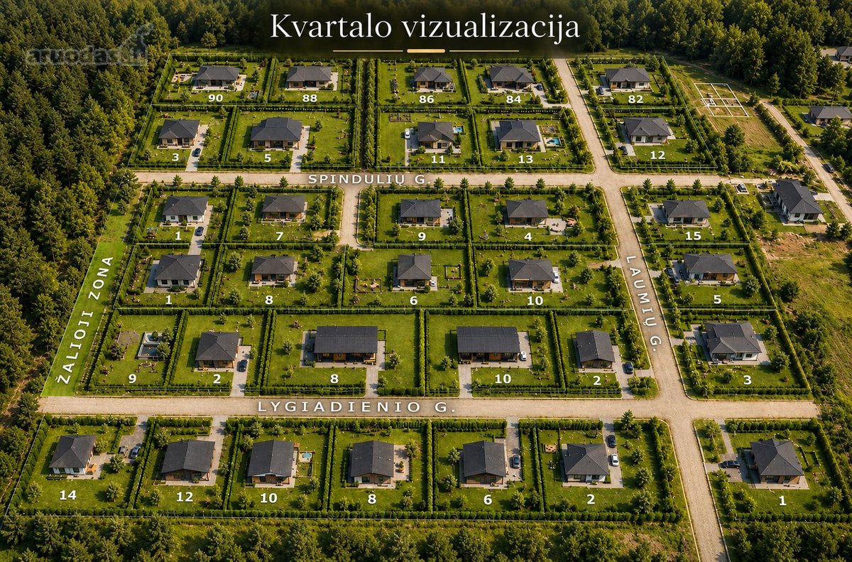 Miško apsuptyje, naujai besiformuojančiame - nuotraukos Nr. 16
