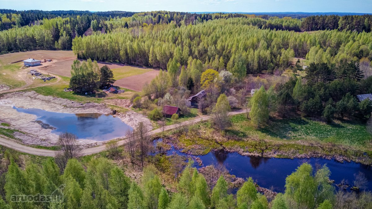 Parduodama jauki sodyba gamtos apsuptyje – - nuotraukos Nr. 3