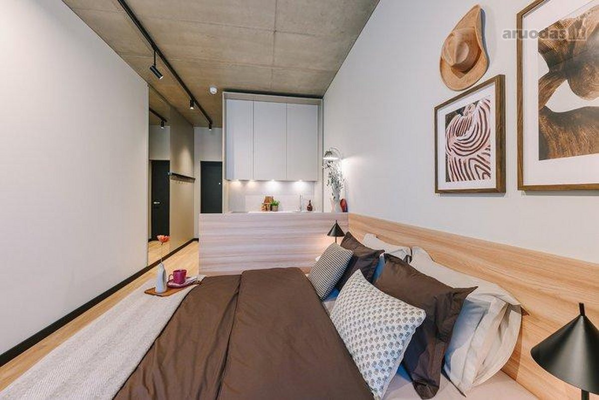 Kompaktiškas apartamentas Birštone – Sofijos - nuotraukos Nr. 3