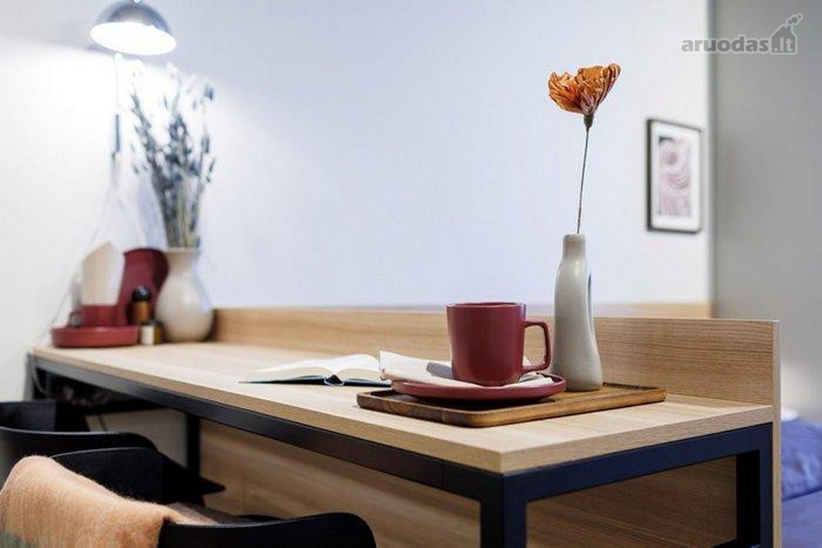 Kompaktiškas apartamentas Birštone – Sofijos - nuotraukos Nr. 5