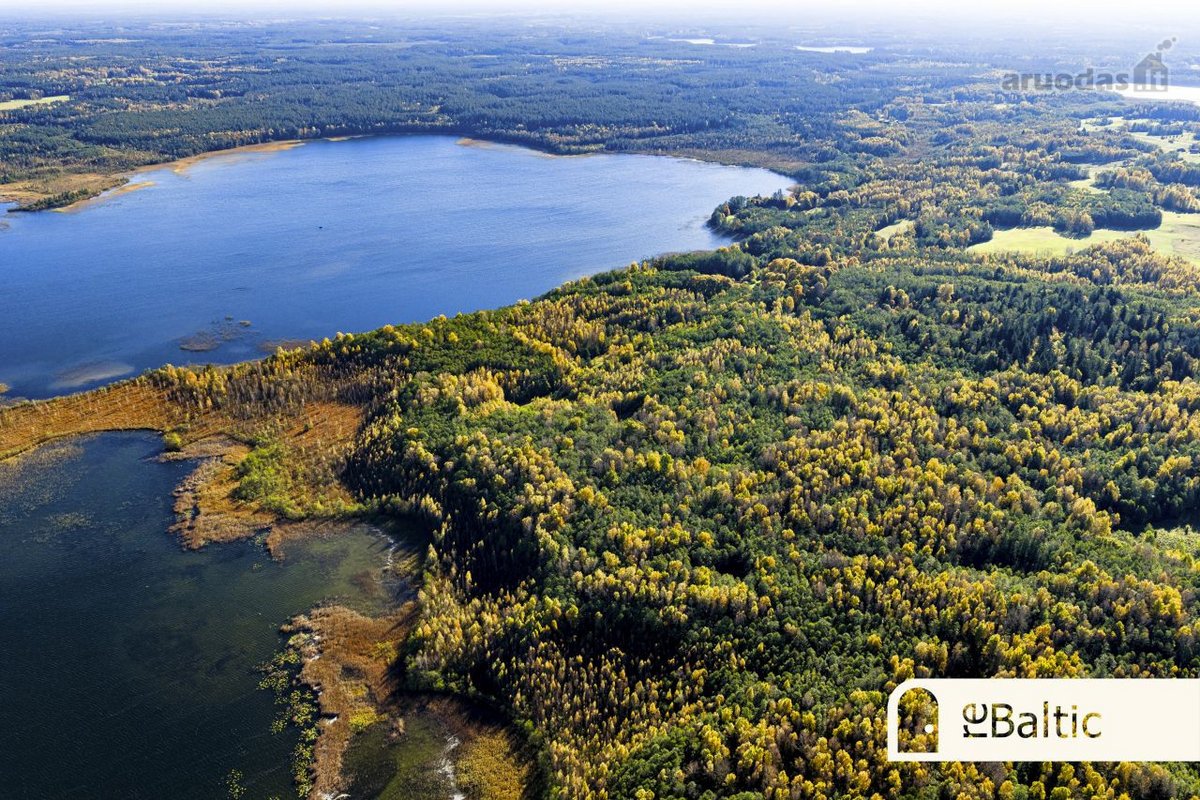 97.9 ha sklypas su pusiasaliu Stirnių ežere - nuotraukos Nr. 3