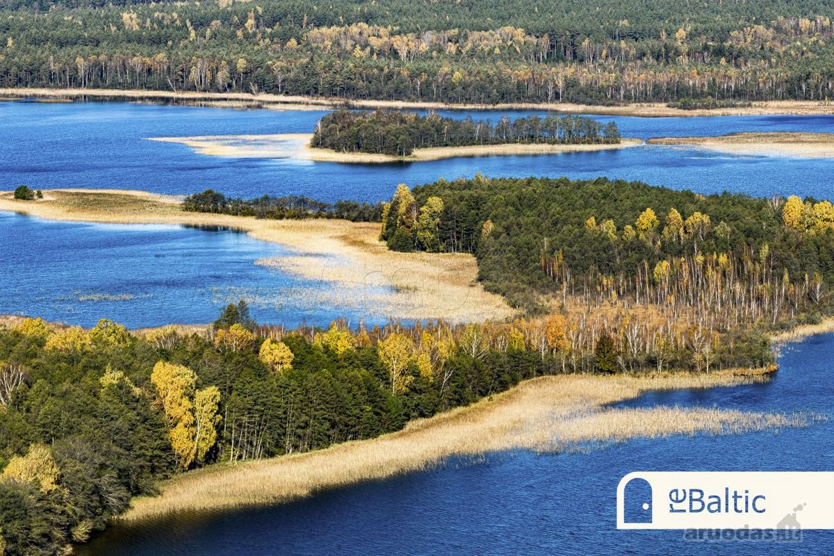 97.9 ha sklypas su pusiasaliu Stirnių ežere - nuotraukos Nr. 9