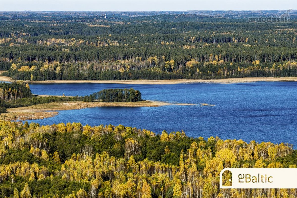 97.9 ha sklypas su pusiasaliu Stirnių ežere - nuotraukos Nr. 10