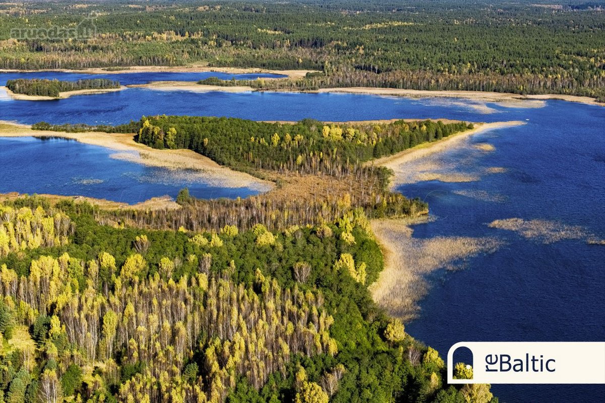 97.9 ha sklypas su pusiasaliu Stirnių ežere - nuotraukos Nr. 11