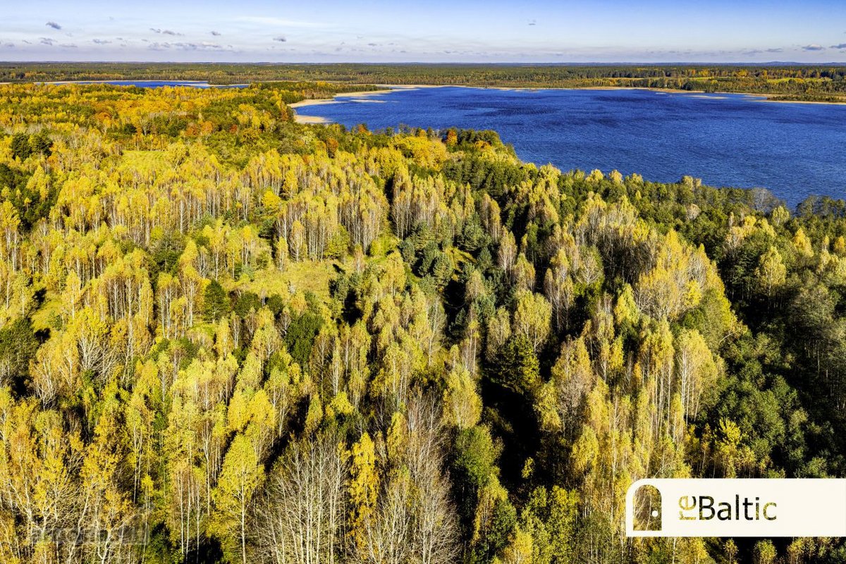 97.9 ha sklypas su pusiasaliu Stirnių ežere - nuotraukos Nr. 13