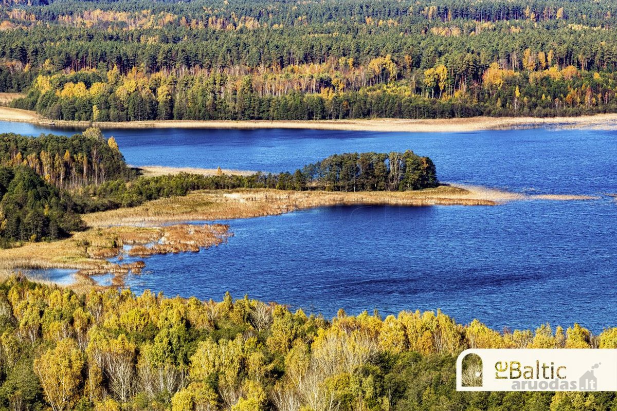 97.9 ha sklypas su pusiasaliu Stirnių ežere - nuotraukos Nr. 18