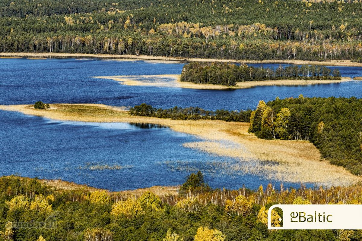 97.9 ha sklypas su pusiasaliu Stirnių ežere - nuotraukos Nr. 19
