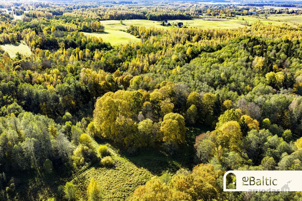 97.9 ha sklypas su pusiasaliu Stirnių ežere - nuotraukos Nr. 21