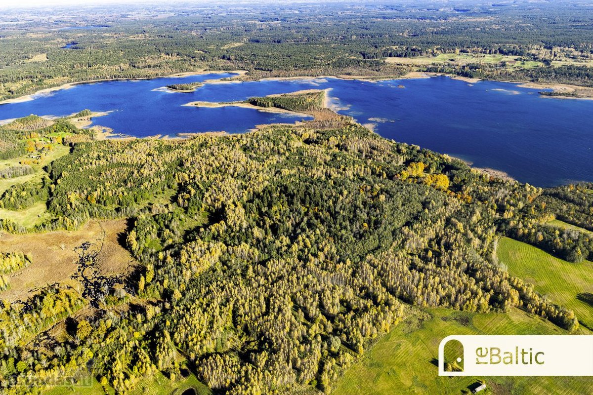 97.9 ha sklypas su pusiasaliu Stirnių ežere - nuotraukos Nr. 23