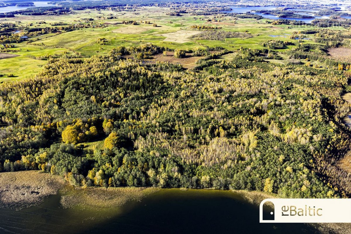 97.9 ha sklypas su pusiasaliu Stirnių ežere - nuotraukos Nr. 24
