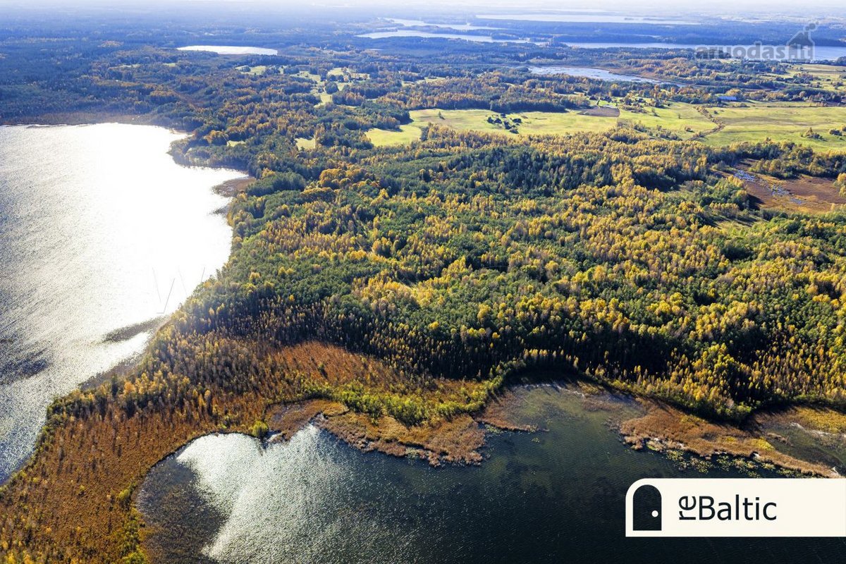 97.9 ha sklypas su pusiasaliu Stirnių ežere - nuotraukos Nr. 26