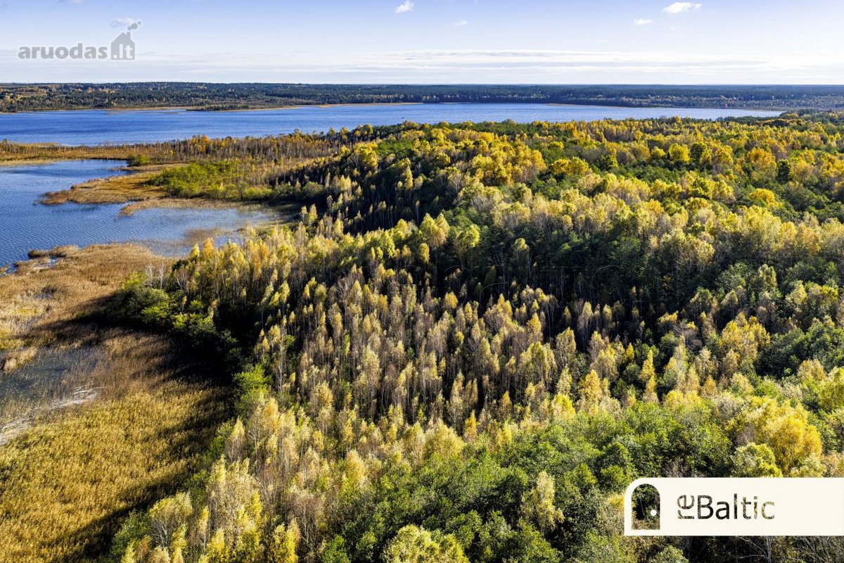 97.9 ha sklypas su pusiasaliu Stirnių ežere - nuotraukos Nr. 27