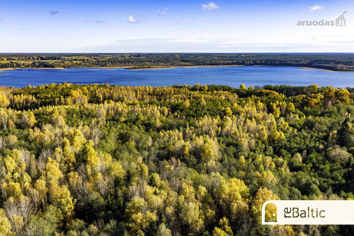 97.9 ha sklypas su pusiasaliu Stirnių ežere - nuotraukos Nr. 28