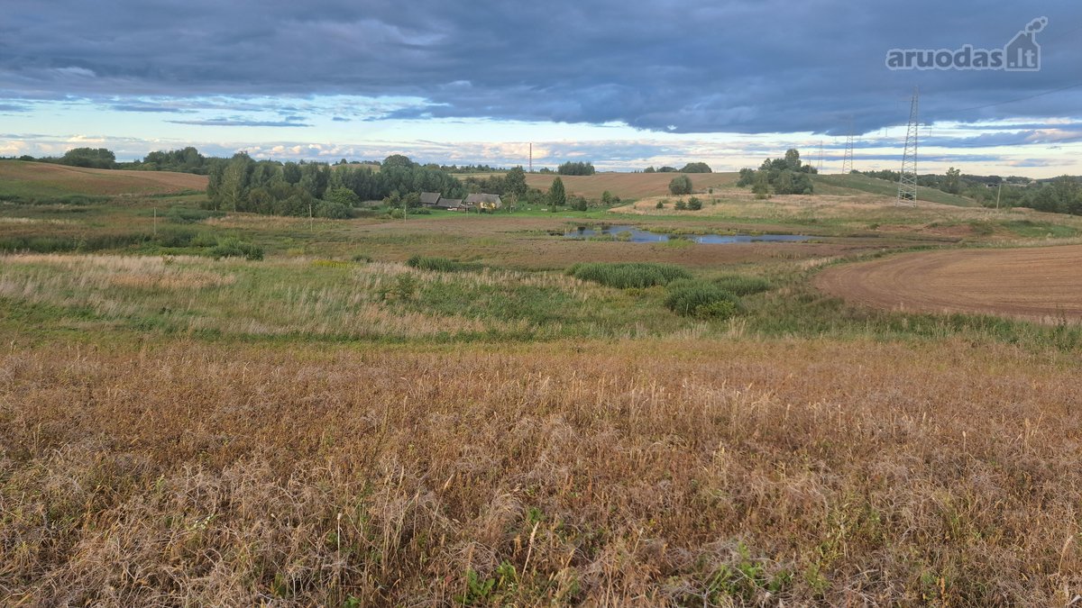 Parduodamas 5,90 ha žemės ūkio paskirties - nuotraukos Nr. 2