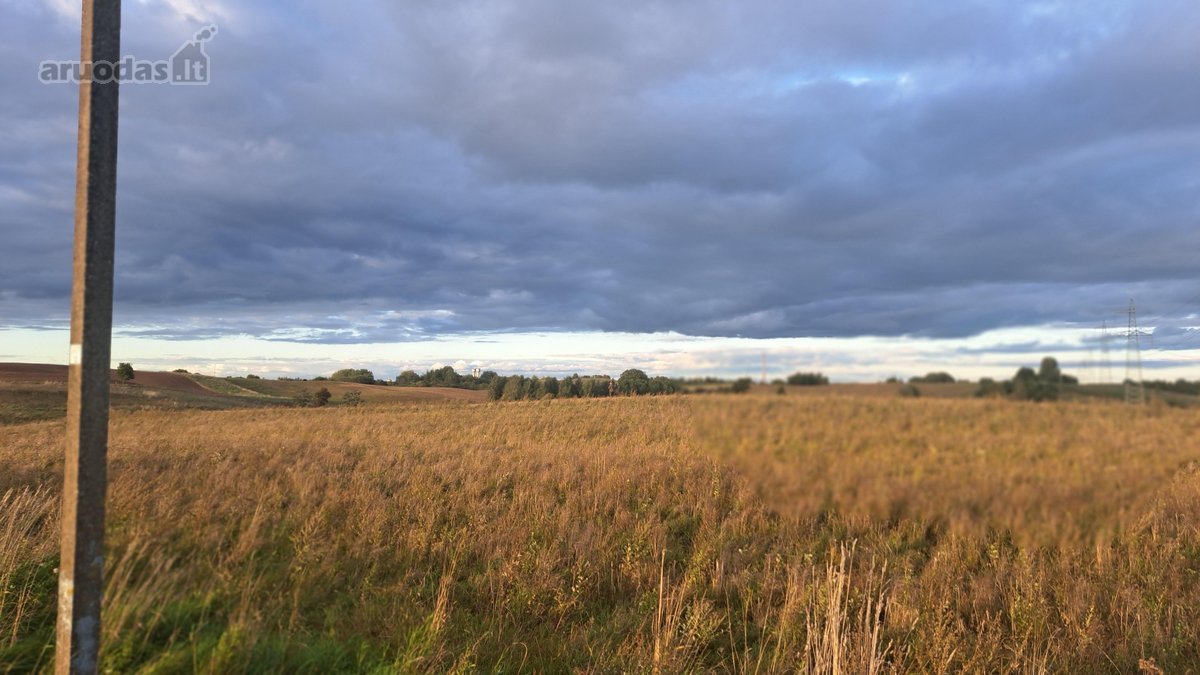 Parduodamas 5,90 ha žemės ūkio paskirties - nuotraukos Nr. 4