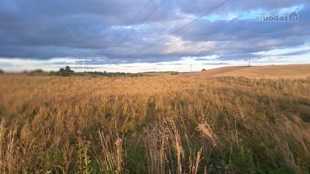 Parduodamas 5,90 ha žemės ūkio paskirties - nuotraukos Nr. 6