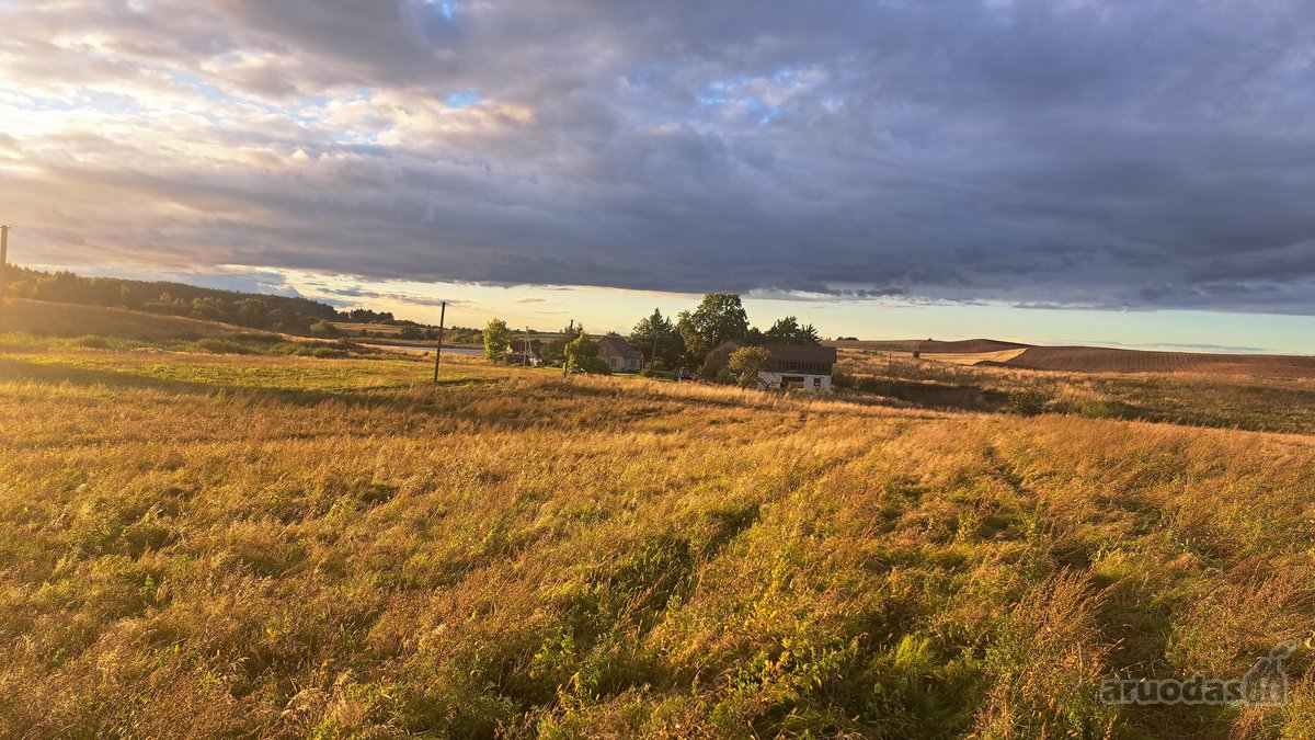 Parduodamas 5,90 ha žemės ūkio paskirties - nuotraukos Nr. 2