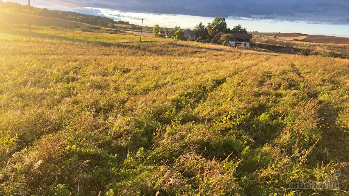 Parduodamas 5,90 ha žemės ūkio paskirties - nuotraukos Nr. 8