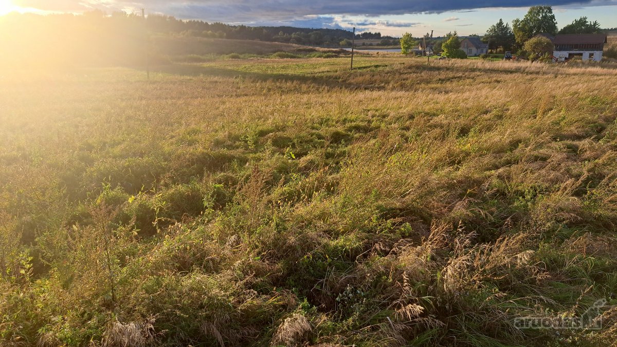 Parduodamas 5,90 ha žemės ūkio paskirties - nuotraukos Nr. 10