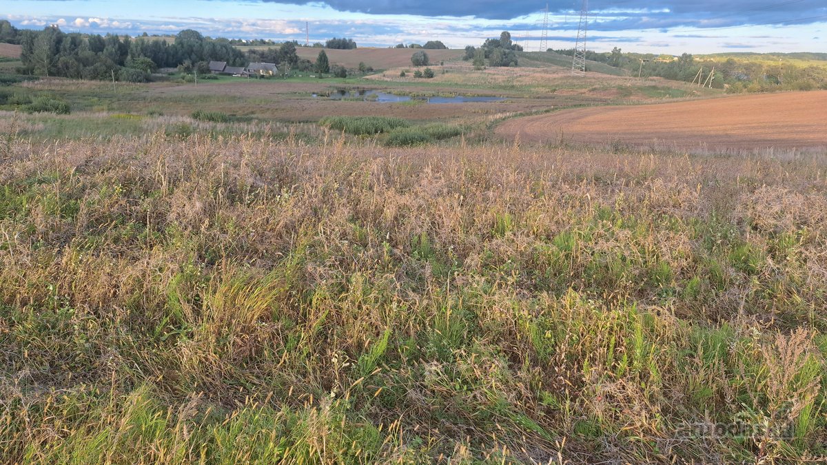 Parduodamas 5,90 ha žemės ūkio paskirties - nuotraukos Nr. 12