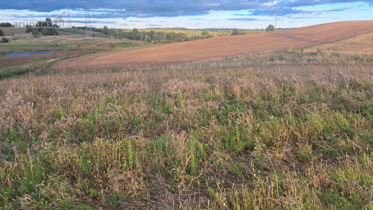 Parduodamas 5,90 ha žemės ūkio paskirties - nuotraukos Nr. 13