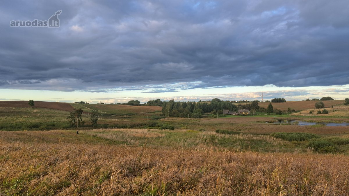 Parduodamas 5,90 ha žemės ūkio paskirties - nuotraukos Nr. 14