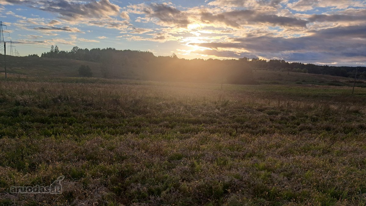 Parduodamas 5,90 ha žemės ūkio paskirties - nuotraukos Nr. 15