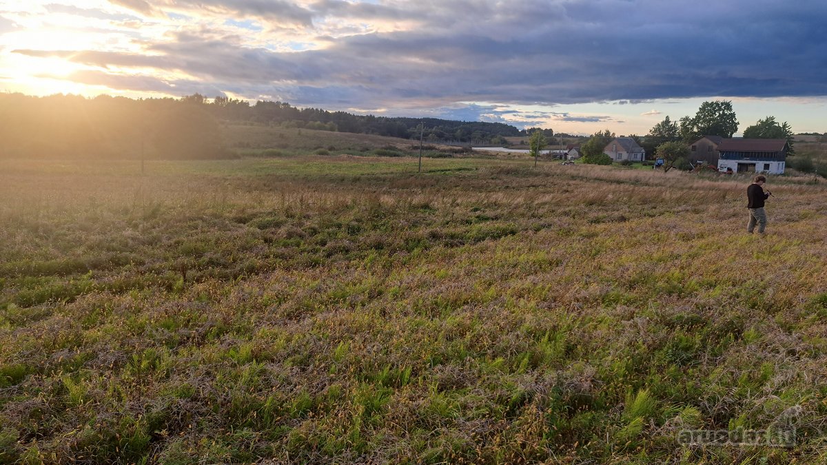 Parduodamas 5,90 ha žemės ūkio paskirties - nuotraukos Nr. 16