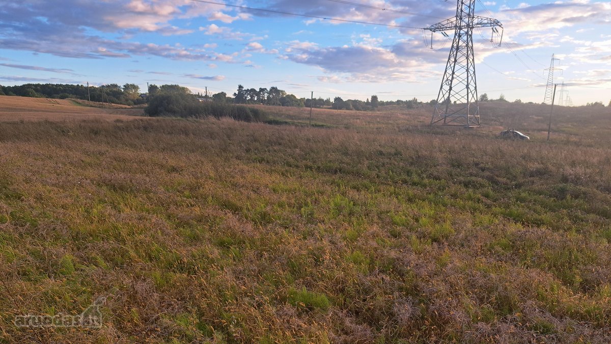 Parduodamas 5,90 ha žemės ūkio paskirties - nuotraukos Nr. 17