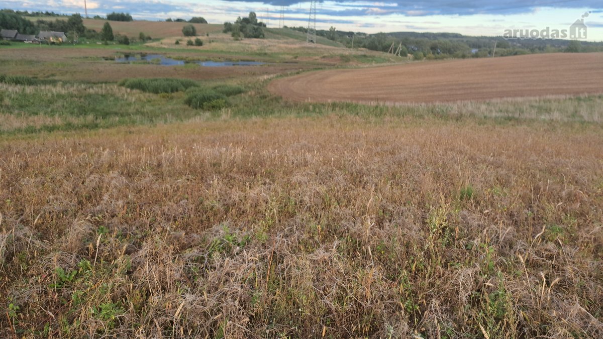 Parduodamas 5,90 ha žemės ūkio paskirties - nuotraukos Nr. 18