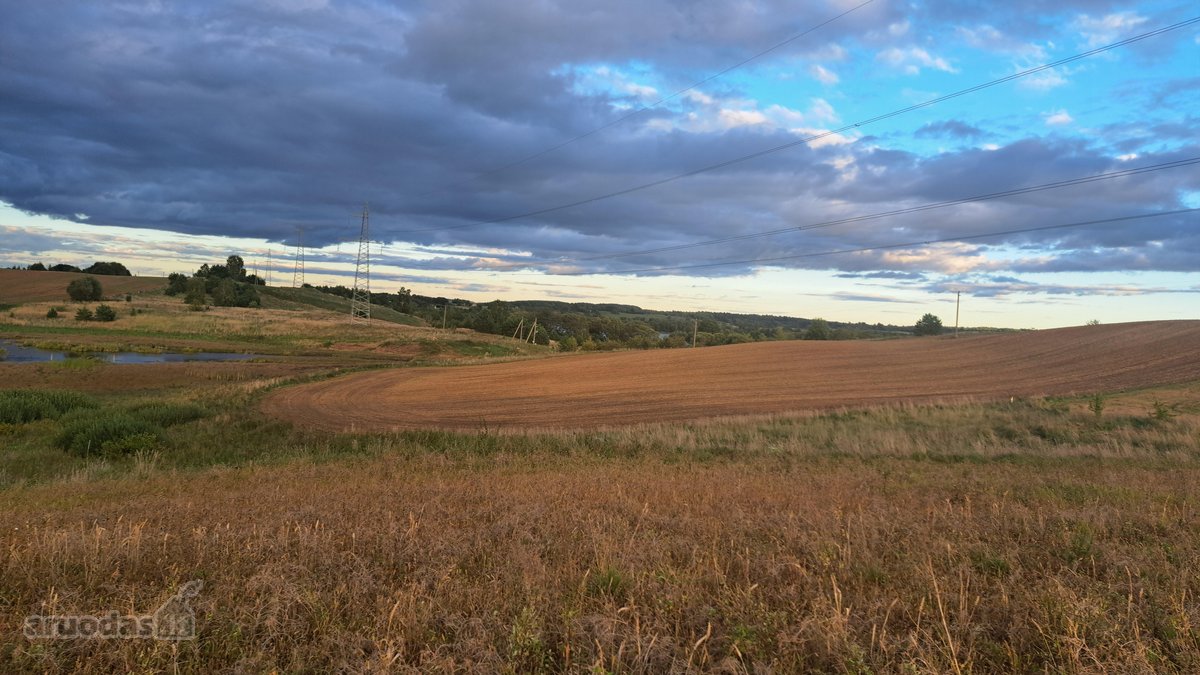 Parduodamas 5,90 ha žemės ūkio paskirties - nuotraukos Nr. 19