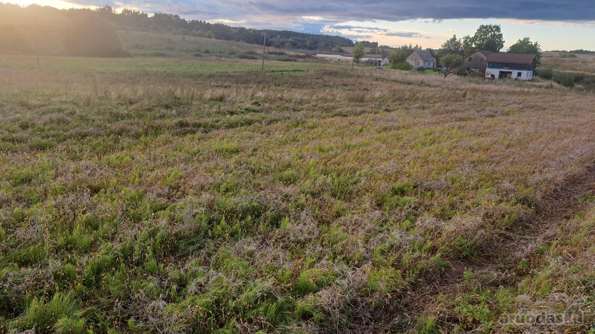 Parduodamas 5,90 ha žemės ūkio paskirties - nuotraukos Nr. 20