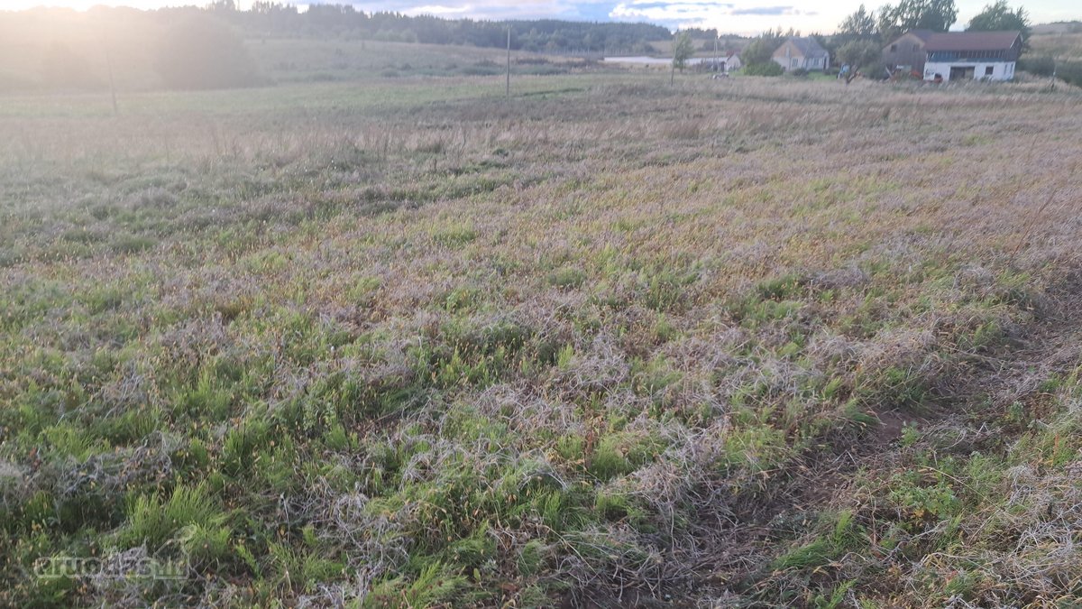 Parduodamas 5,90 ha žemės ūkio paskirties - nuotraukos Nr. 21