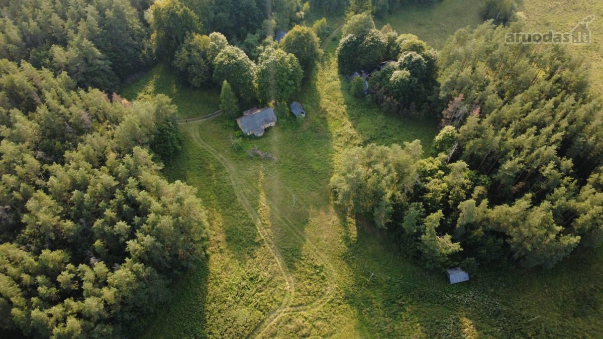 Vienkiemis, sodyba randasi nuošalioje vietoje - nuotraukos Nr. 3