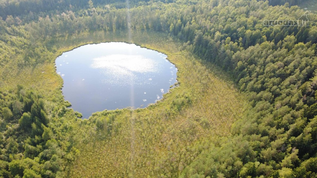 Vienkiemis, sodyba randasi nuošalioje vietoje - nuotraukos Nr. 4