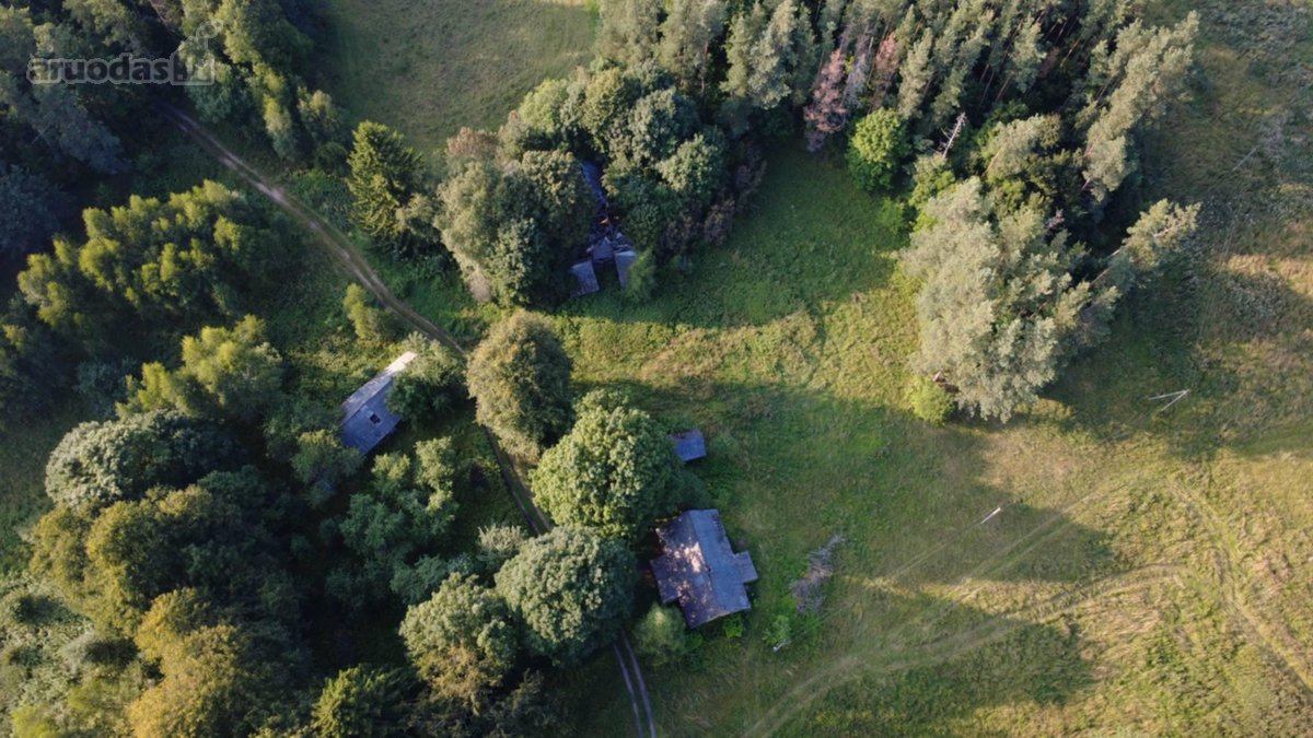 Vienkiemis, sodyba randasi nuošalioje vietoje - nuotraukos Nr. 5