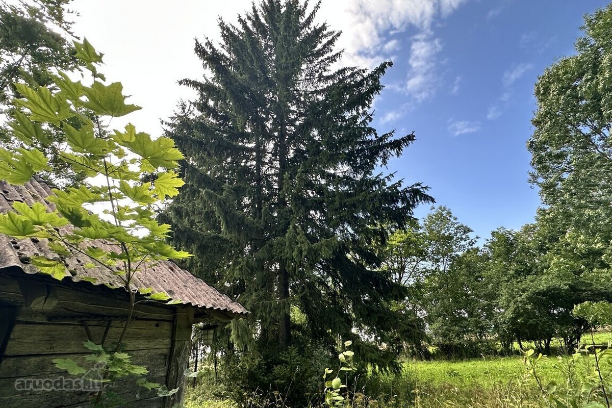 Parduodama Autentiška Sodyba 5,1235 Ha. - nuotraukos Nr. 4