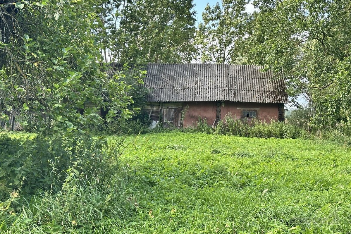 Parduodama Autentiška Sodyba 5,1235 Ha. - nuotraukos Nr. 8