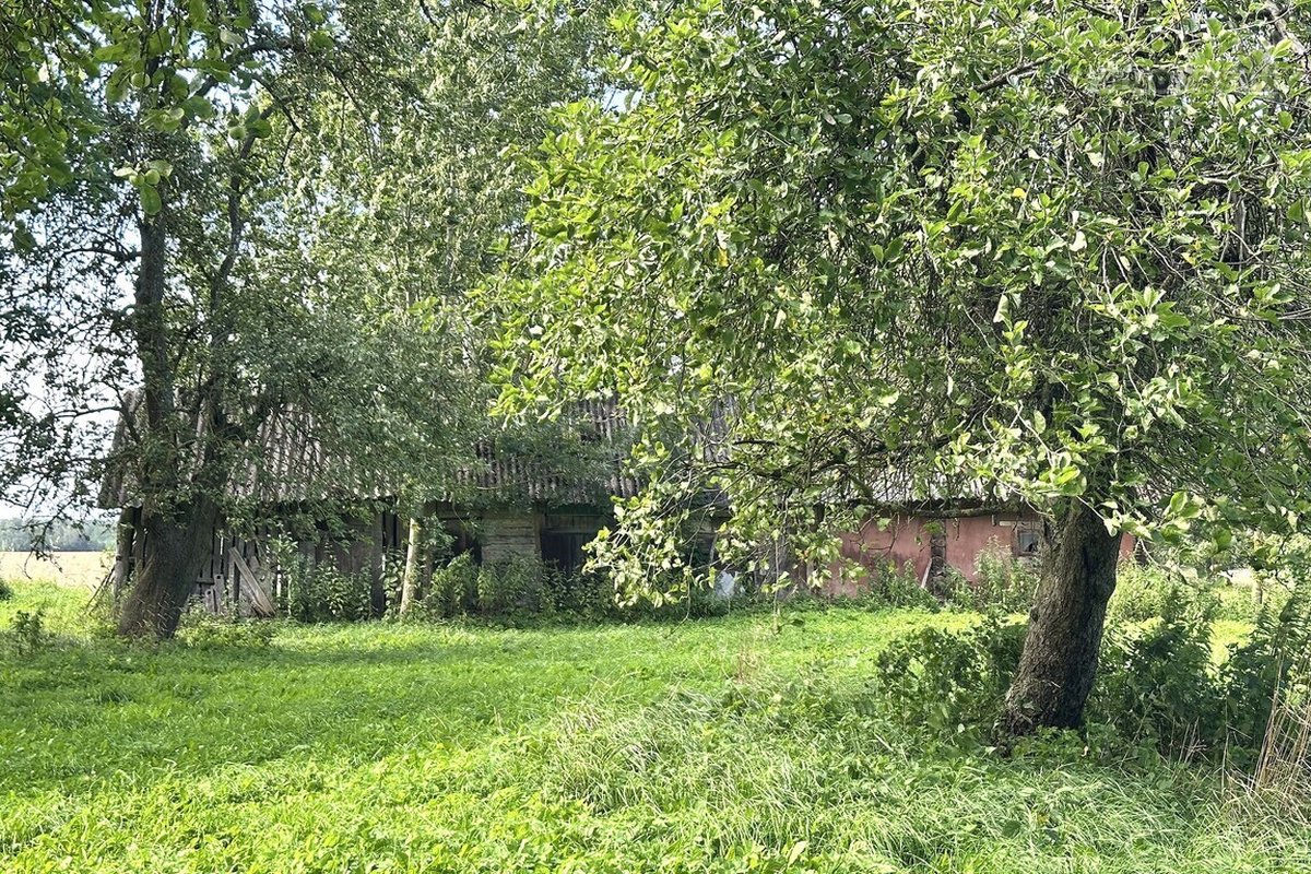 Parduodama Autentiška Sodyba 5,1235 Ha. - nuotraukos Nr. 9