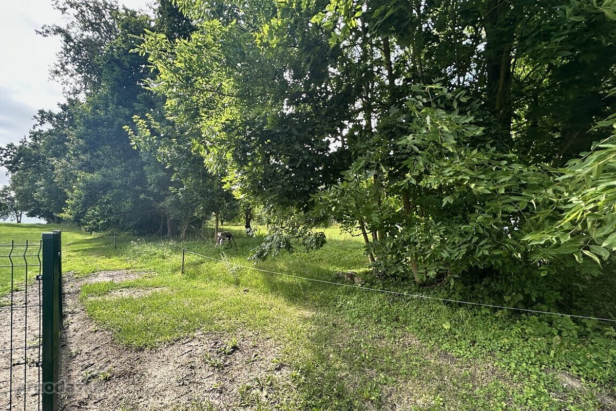 Parduodama Autentiška Sodyba 5,1235 Ha. - nuotraukos Nr. 11