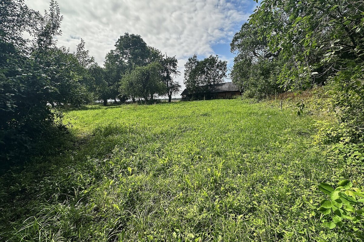 Parduodama Autentiška Sodyba 5,1235 Ha. - nuotraukos Nr. 12