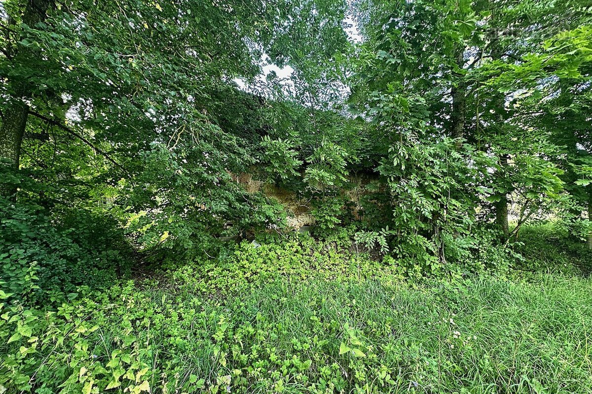 Parduodama Autentiška Sodyba 5,1235 Ha. - nuotraukos Nr. 13
