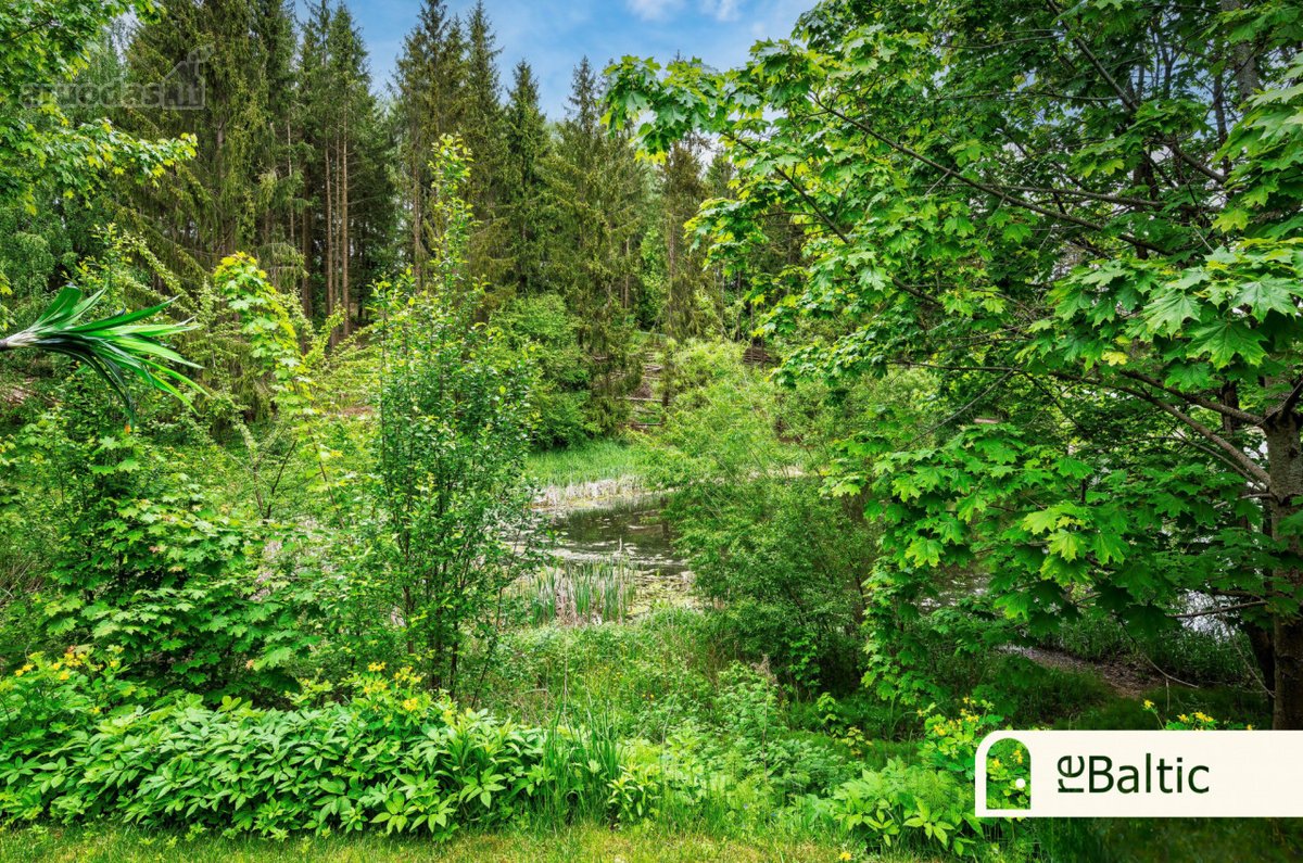 Unikalus namas Pavilnių regioniniame parke - - nuotraukos Nr. 37