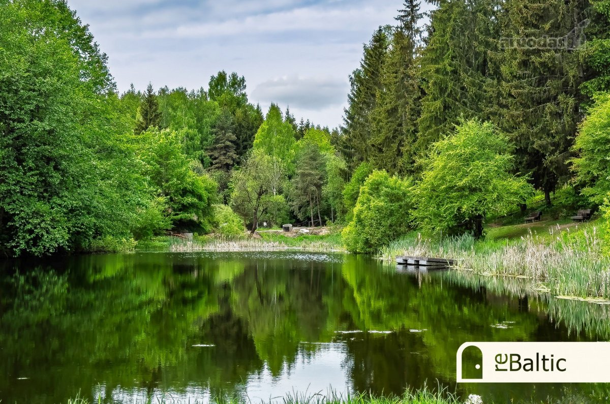 Unikalus namas Pavilnių regioniniame parke - - nuotraukos Nr. 38