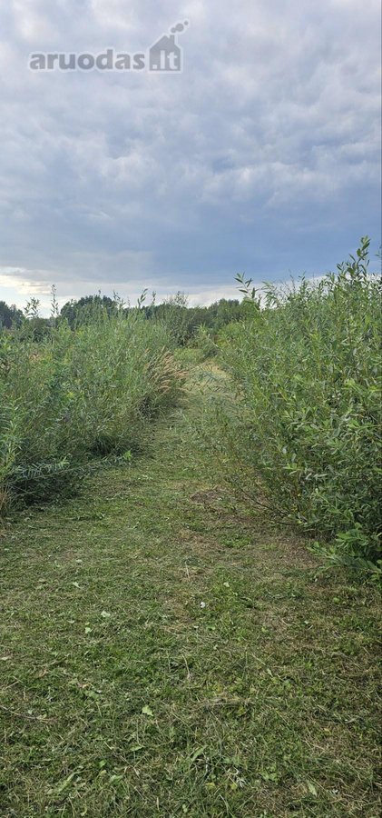 Sklypas su statybos leidimu, statyti galima - nuotraukos Nr. 10