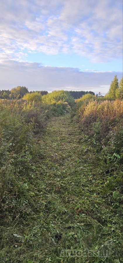 Sklypas su statybos leidimu, statyti galima - nuotraukos Nr. 15