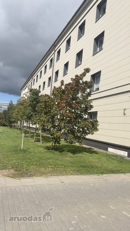 Nuomojamas 1 kambario butas Lvivo gatvėje su - nuotraukos Nr. 23