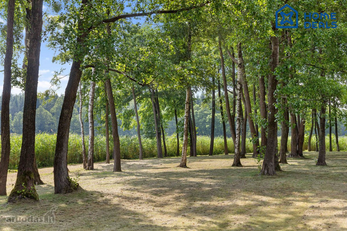 Čia kiekviena diena prasideda ežero ramybe, o - nuotraukos Nr. 61