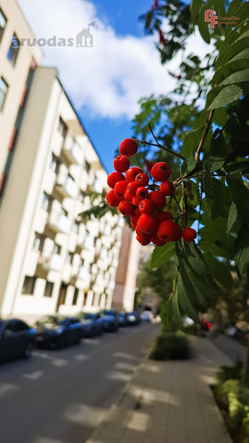 Erdvus ir šviesus 75 m² butas renovuotame - nuotraukos Nr. 5